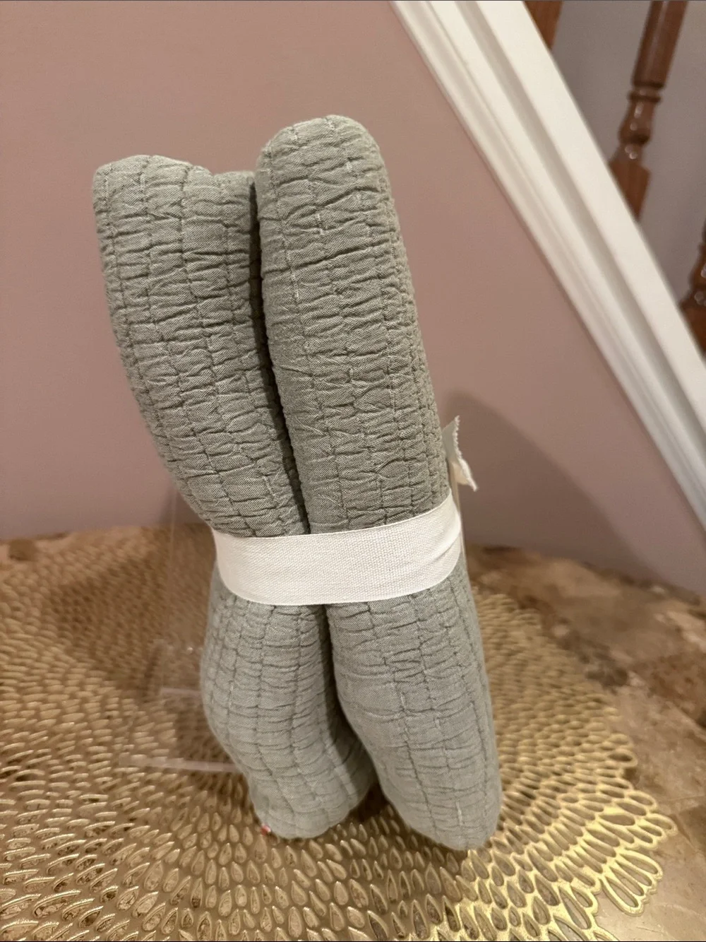Pottery Barn Coastal Washed Euro Sham - Eucalyptus